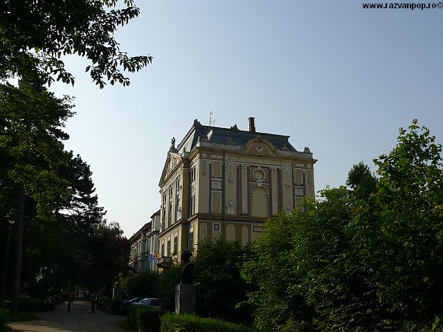 colectia personala razvan c pop