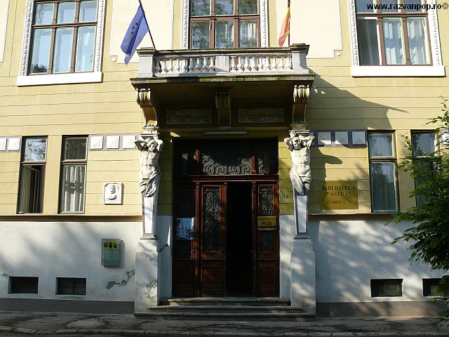 colectia personala razvan c pop