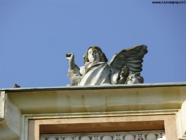 colectia personala razvan c pop