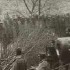 austrian_305_cm_artillery_and_rumanian_prisoners1